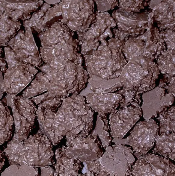 🌴 Dark Chocolate Coconut Rough – 100g Bag